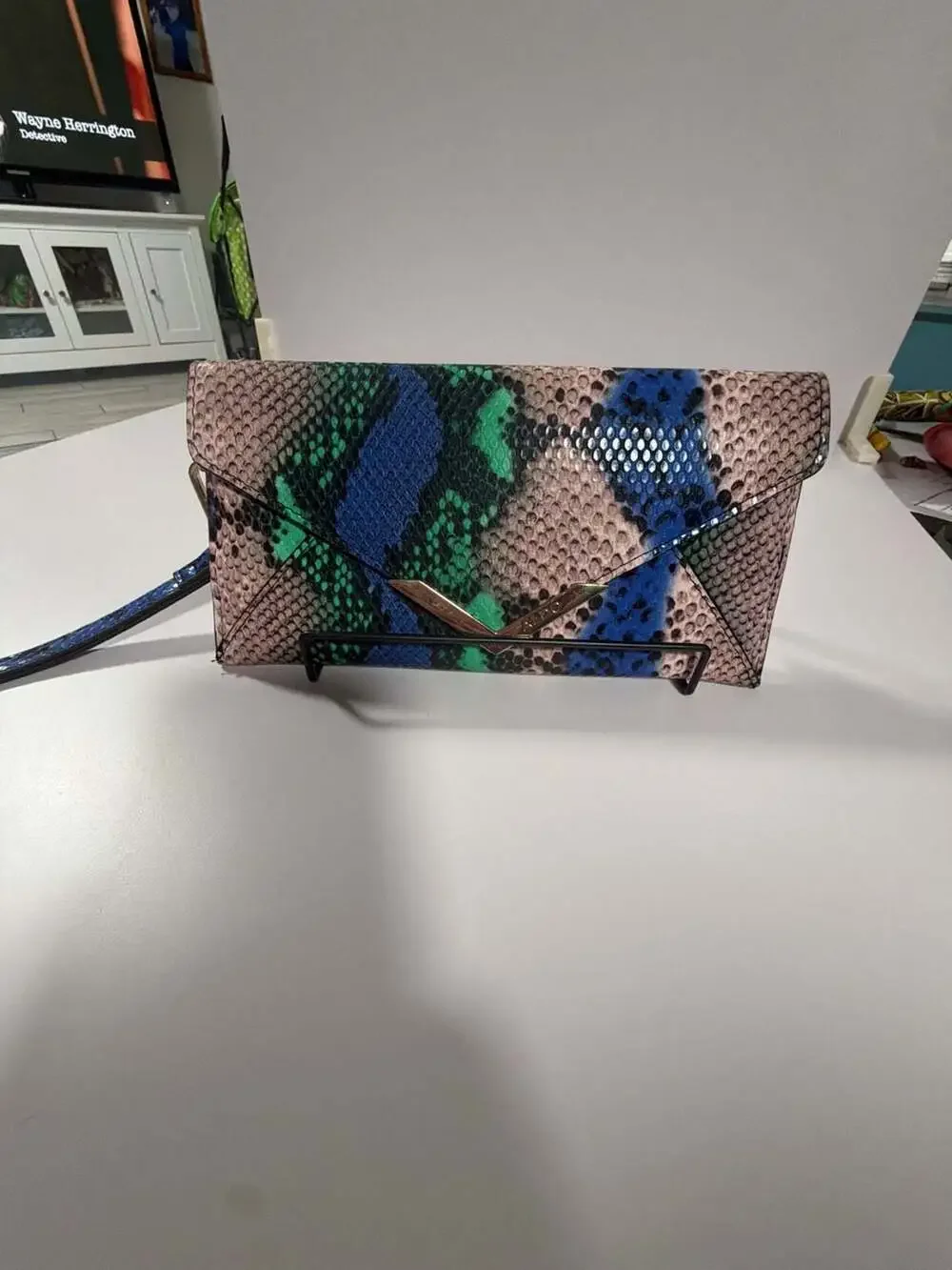 Aldo Elizabeta Multi-Colored Faux Snakeskin Envelope Wristlet